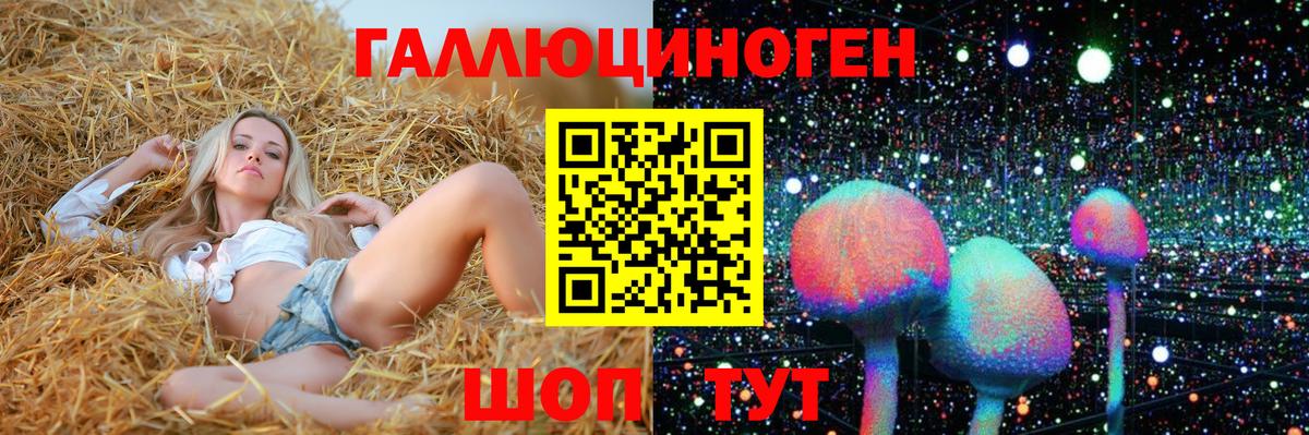 Псилоцибиновые грибы Cubensis Усть-Джегута