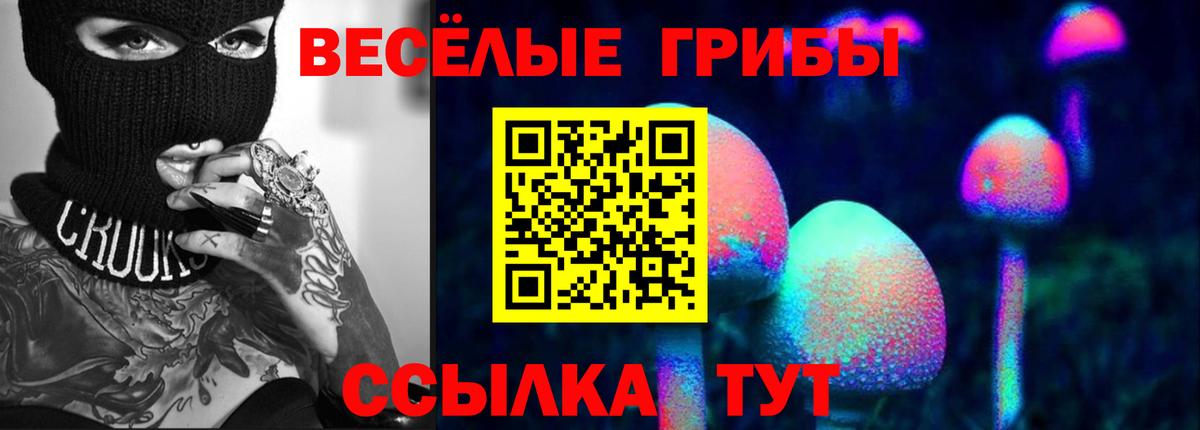 Псилоцибиновые грибы ЛСД  Вход с VPN  Усть-Джегута  Галлюциногенные грибы прущие грибы 